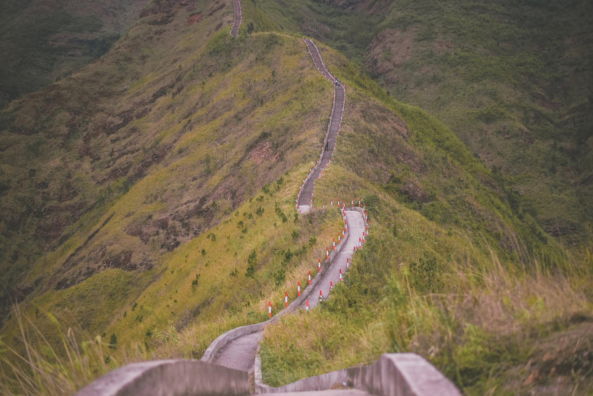 binhlieu14