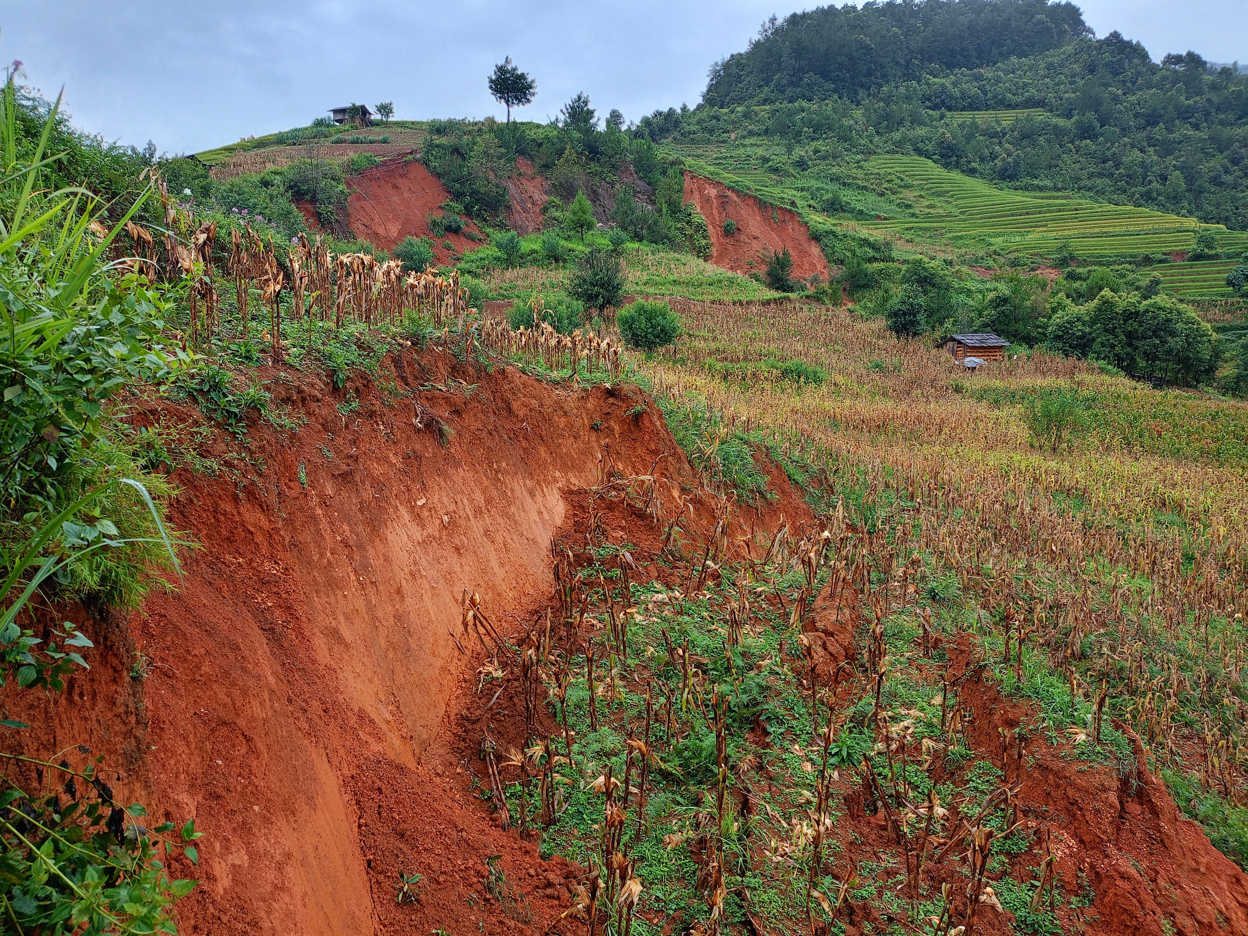 tour-tu-thien-mu-cang-chai-2-ngay-1-dem-vietmountain-travel2 (1)