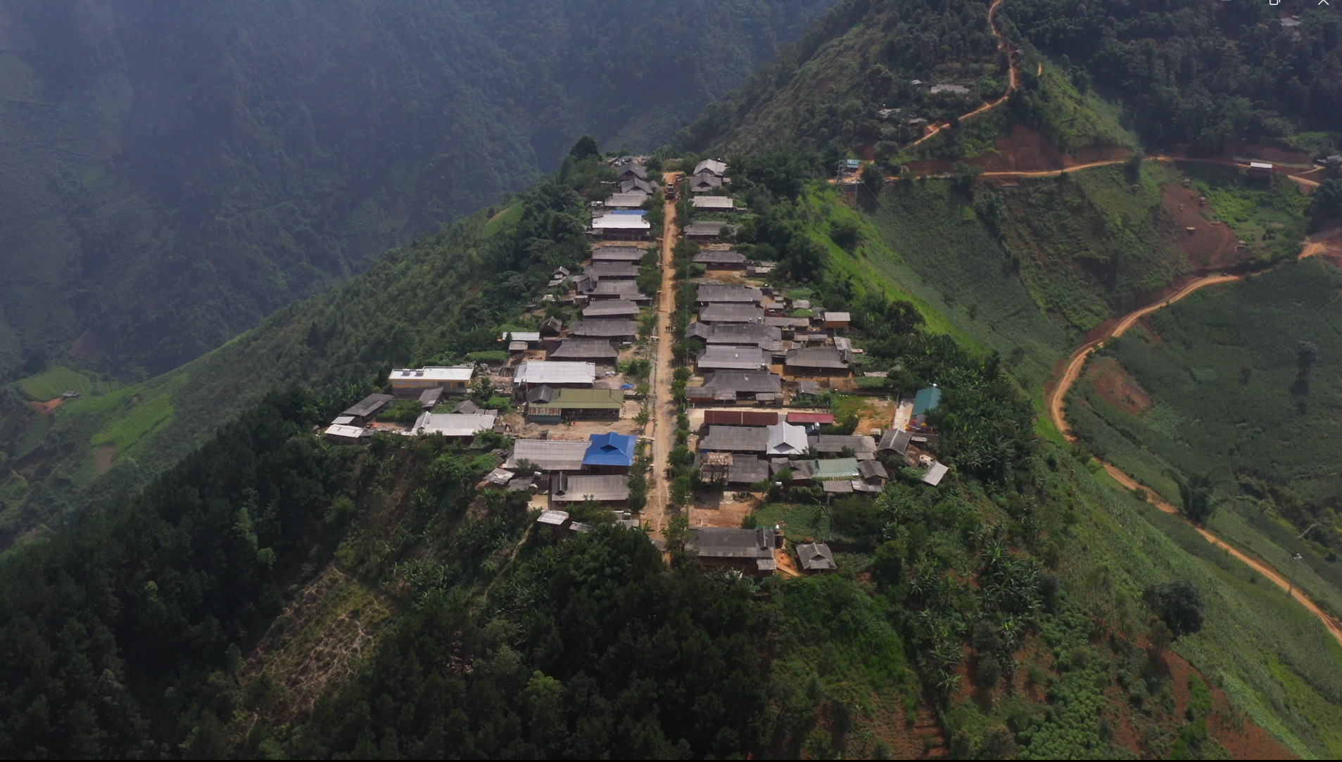 ban-cu-vai-tram-tau-yen-bai-vietmountain-travel1