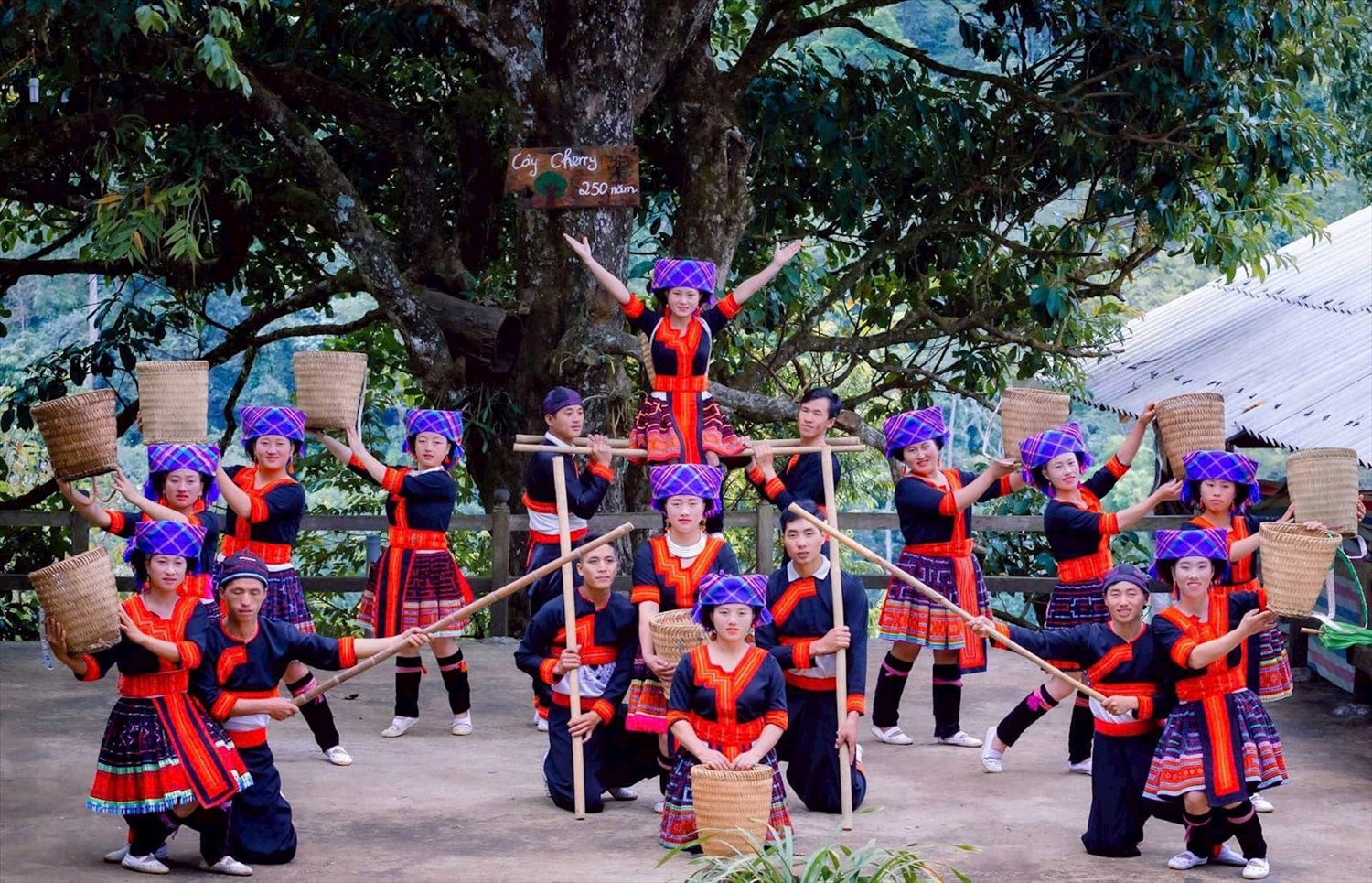 tour_mu_cang_chai_sin_suoi_ho_sapa