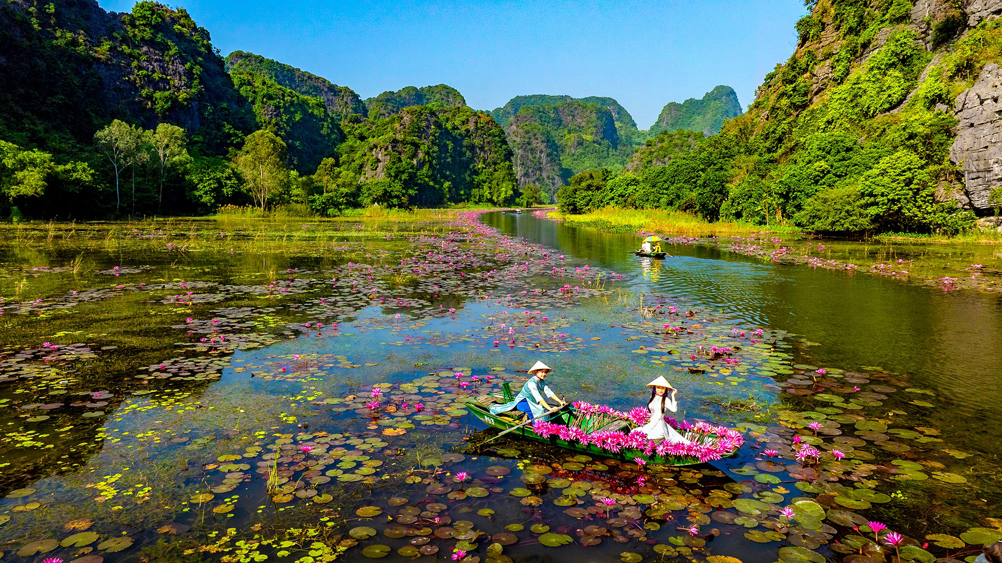 tour_chup_anh_hoa_sung_ninh_binh