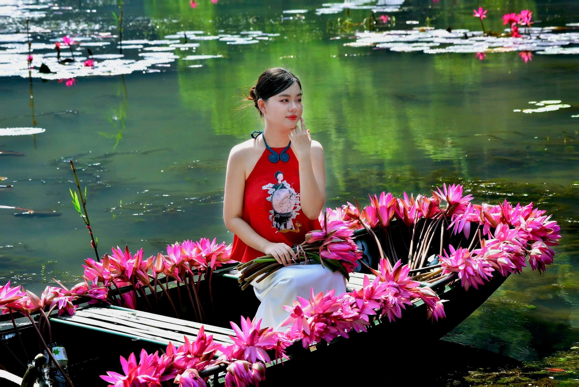tour_chup_anh_hoa_sung_ninh_binh1
