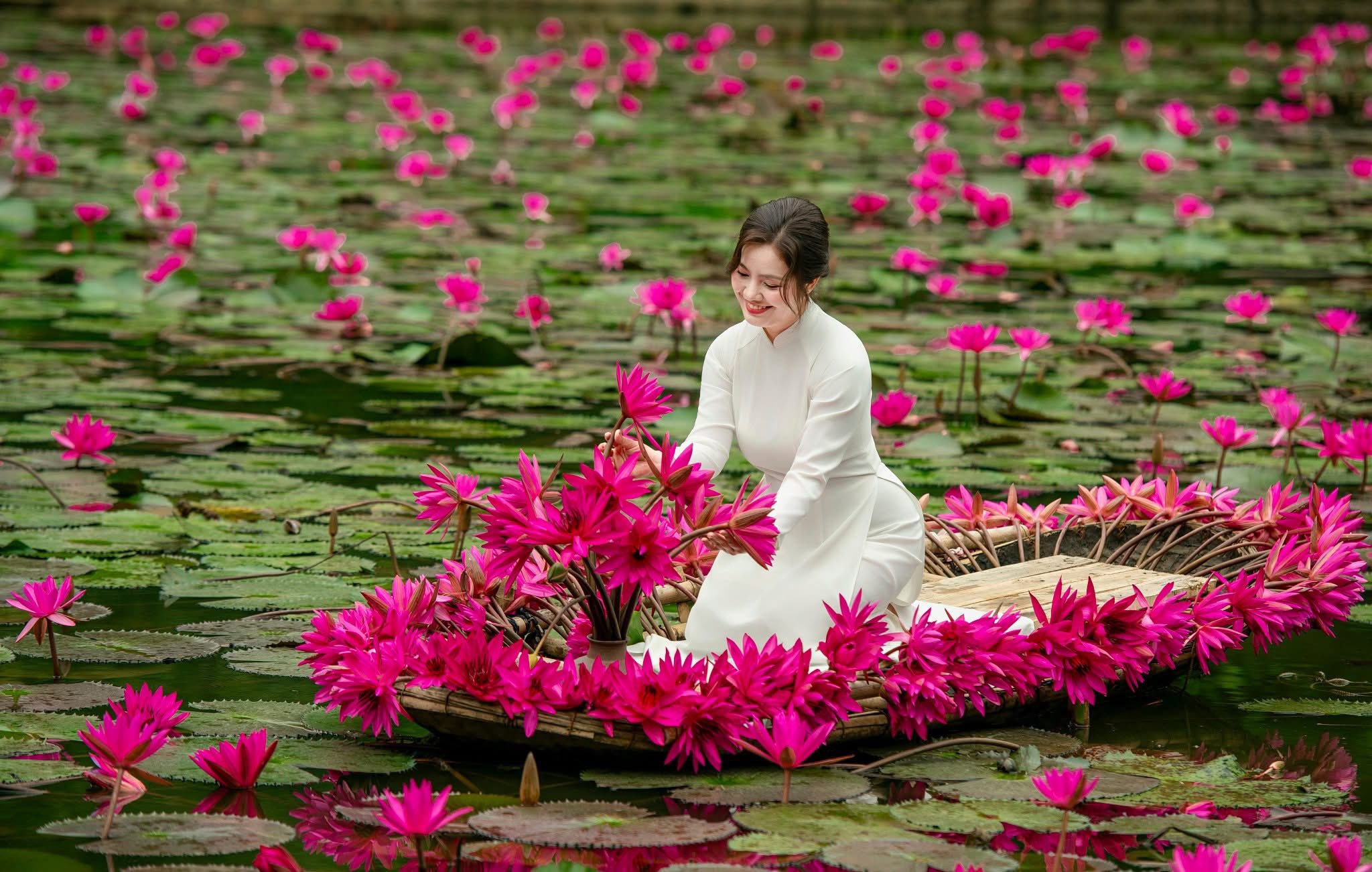 tour_chup_anh_hoa_sung_ninh_binh7