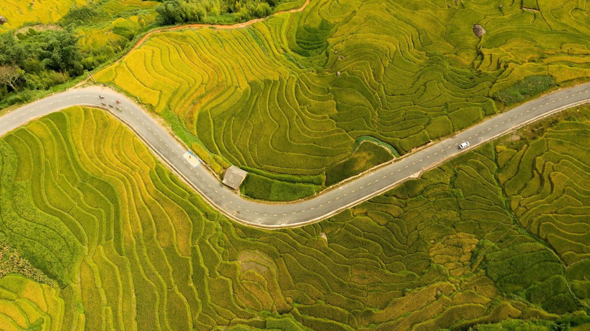 tour-y-ty-bac-ha-mua-lua-chin-vietmountain-travel4 44